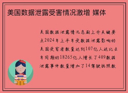 美国数据泄露受害情况激增 媒体