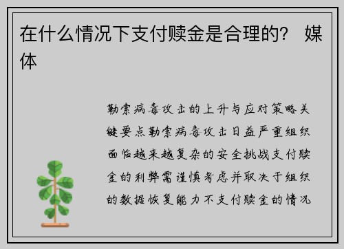 在什么情况下支付赎金是合理的？ 媒体